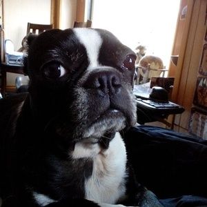 Meet your Posher, Ernest